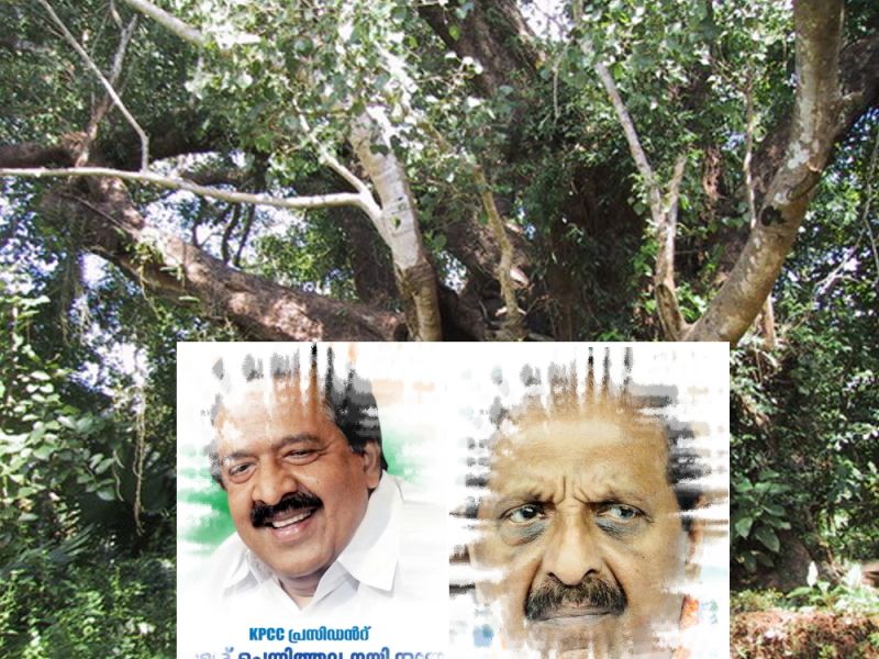 News Photo 1 - America - Samakaalikam - articlesholykumpiluvely24