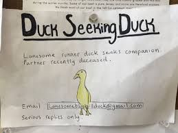 News Photo 1 - America - Otta Nottathil - 151220196duck