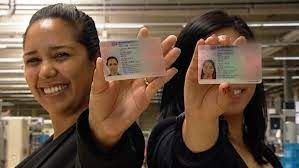 News Photo 1 - Germany - Otta Nottathil - 15420219bluecard