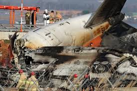 News Photo 1 - Other Countries - Otta Nottathil - korea_flight_bird