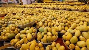 News Photo 1 - India - Otta Nottathil - us_rejects_indian_mangoes