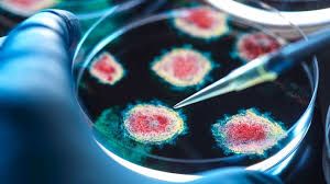 News Photo 1 - Other Countries - Otta Nottathil - china_new_bat_virus