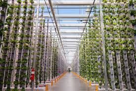 Photo #1 - Europe - Otta Nottathil - vertical_farming_office