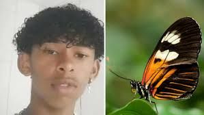 Photo #1 - Other Countries - Otta Nottathil - brazil_butterfly_challenege_death